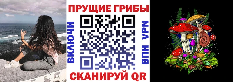 Псилоцибиновые грибы MAGIC MUSHROOMS  закладка  MEGA зеркало  Вологда 